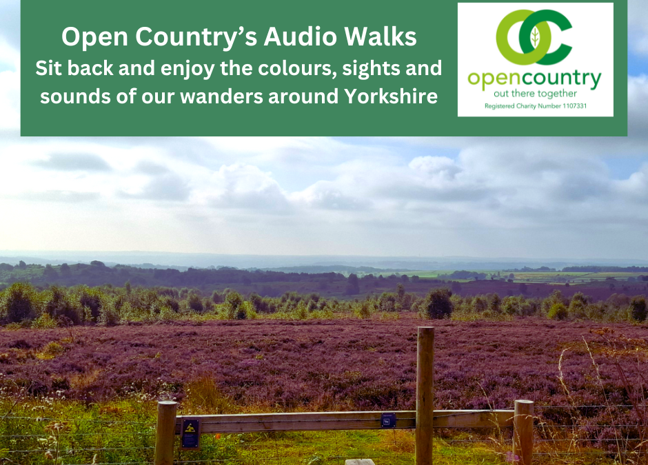 A view of Nidderdale with heather in bloom and clouds