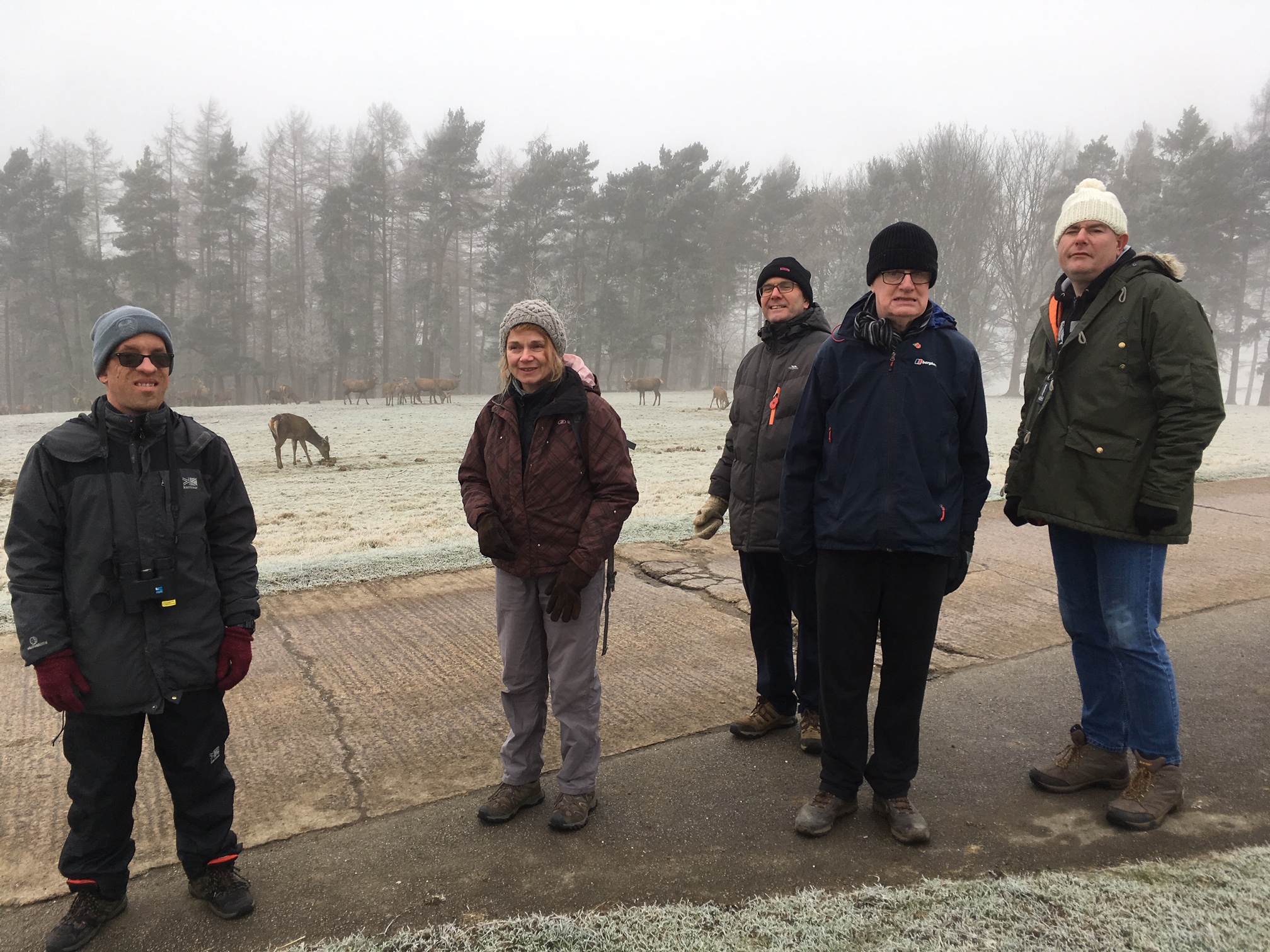 A group standing on a path on a frosty day with trees and a herd of deer in the background